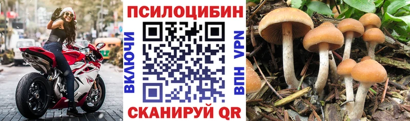 Псилоцибиновые грибы ЛСД  Динская 